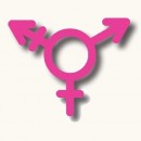 trans-logo_600