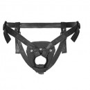 Harness