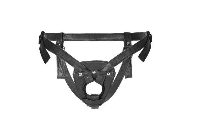 Harness