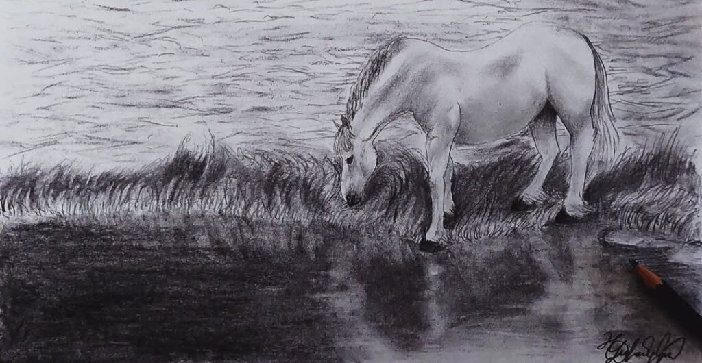 horse drinking water